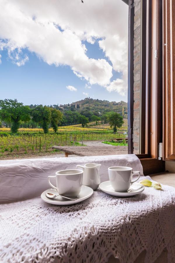 Wine Estate Rooms Paradiso Di Cacuci Монтальчино Екстер'єр фото